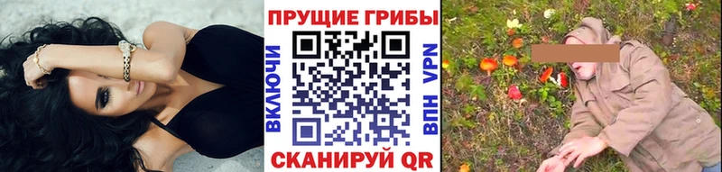 кракен tor  закладка  Шагонар  это телеграм  Галлюциногенные грибы прущие грибы 